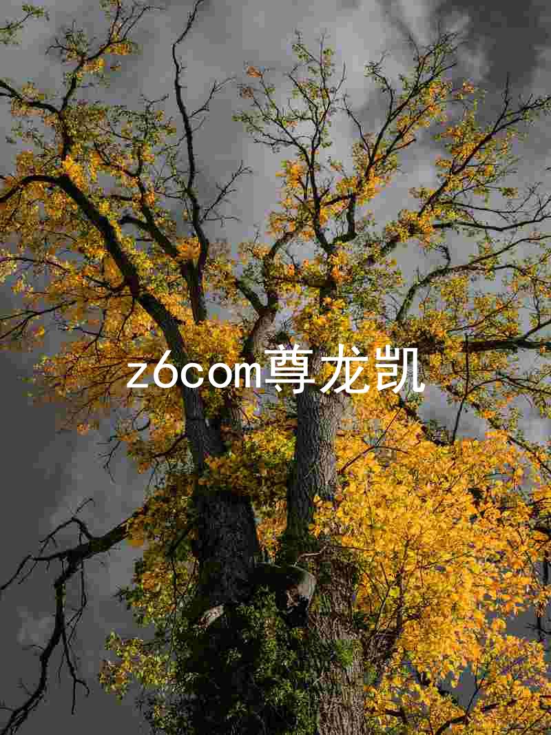 z6com尊龙凯