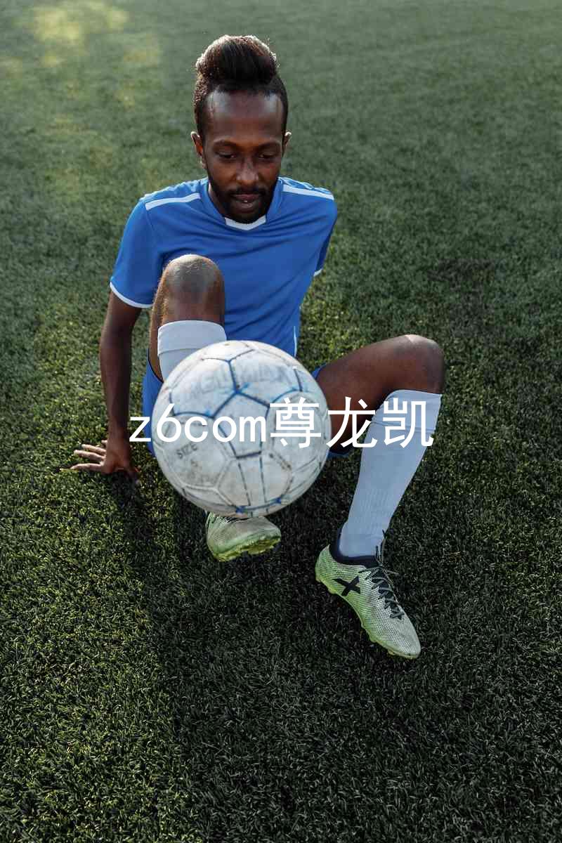 z6com尊龙凯