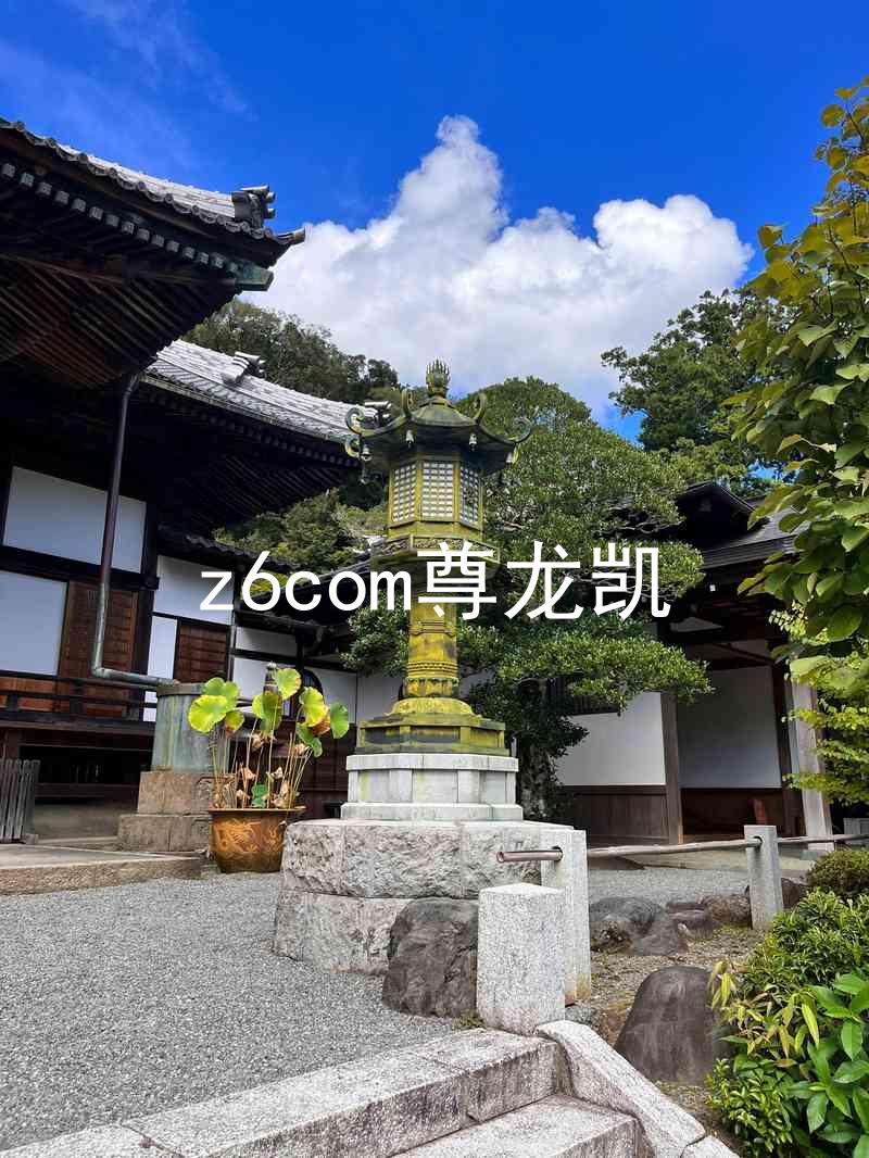 z6com尊龙凯